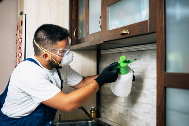Best Cockroach Control Services  in Rocky Top, TN