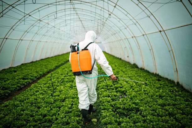 Best Commercial Pest Control Services  in Rocky Top, TN