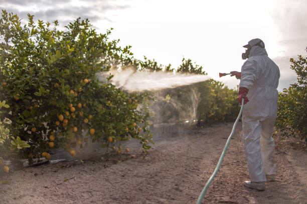 Best Residential Pest Control  in Rocky Top, TN