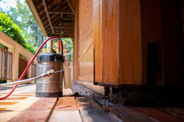 Best Best Pest Control Companies  in Rocky Top, TN