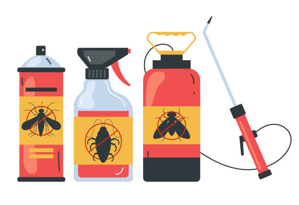 Best Insect Control  in Rocky Top, TN